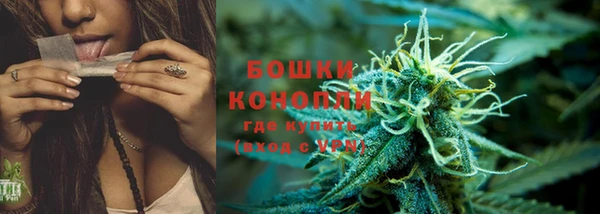 метадон Богданович