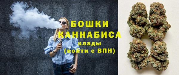 метадон Богданович