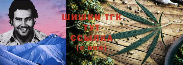 метадон Богданович