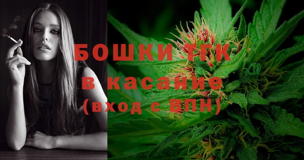 соль ск Богородск