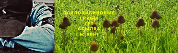 соль ск Богородск