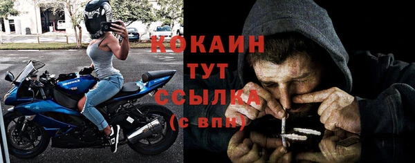 метадон Богданович