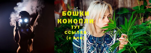 соль ск Богородск