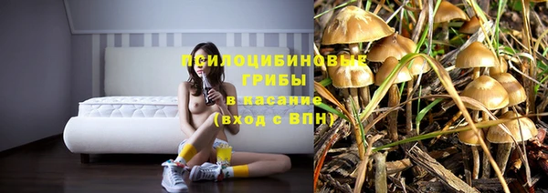 ешки Богородицк